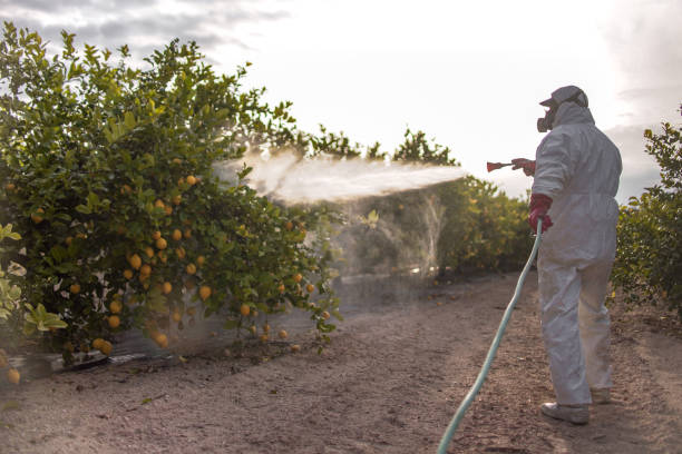 Best Pest Inspection Near Me  in Ferriday, LA