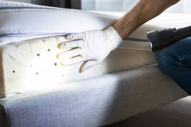 Best Exterminator Services  in Ferriday, LA