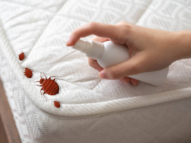 Best Commercial Pest Control Services  in Ferriday, LA